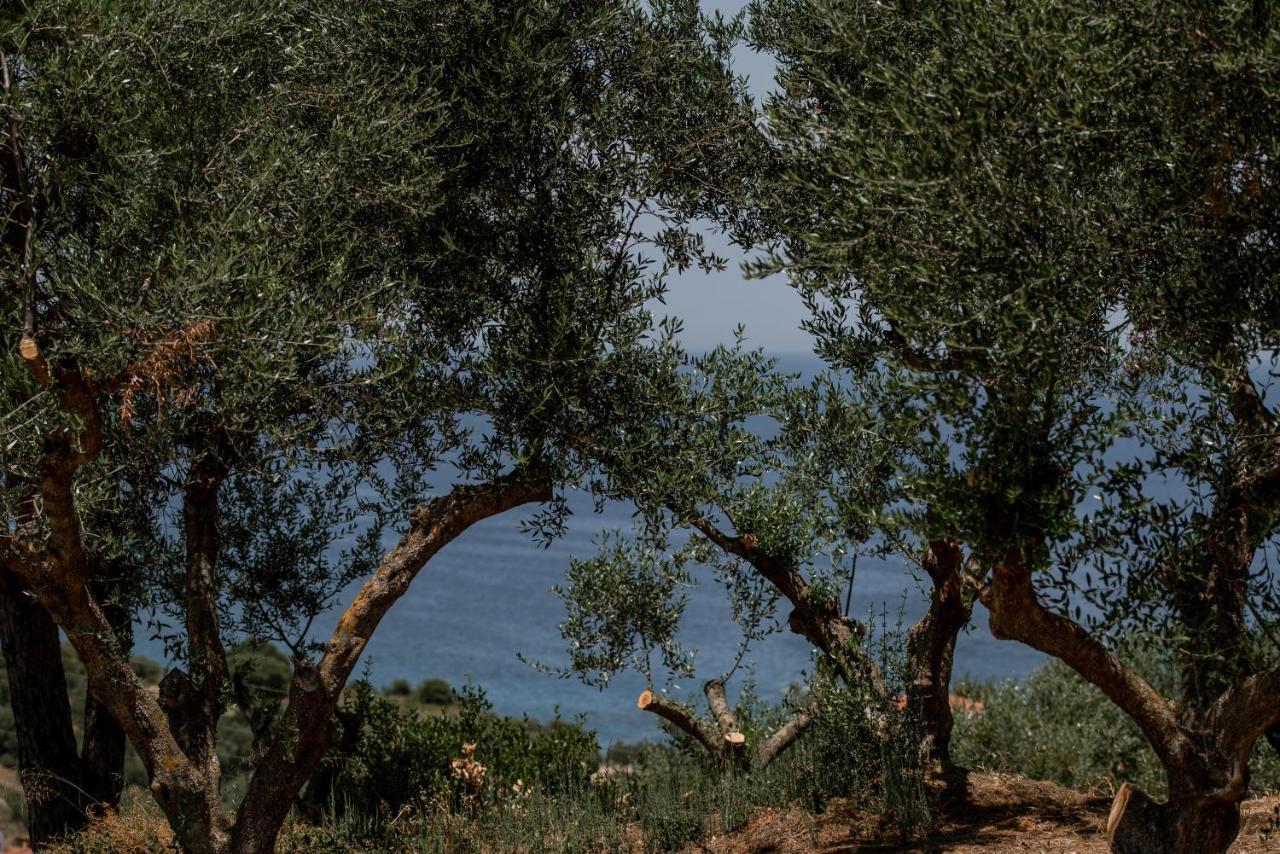 Cossoro Villas Zakynthos Xirokástellon المظهر الخارجي الصورة